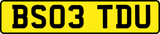 BS03TDU