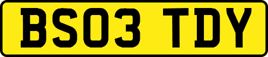 BS03TDY