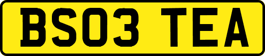 BS03TEA