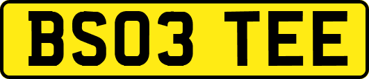 BS03TEE