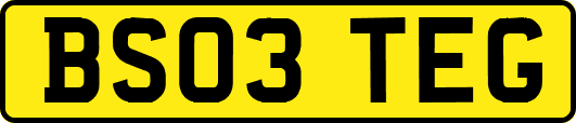 BS03TEG