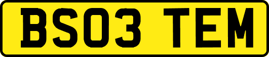 BS03TEM