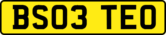 BS03TEO