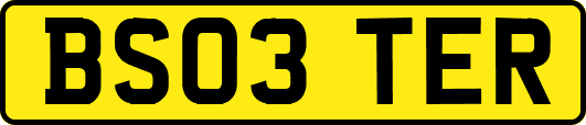 BS03TER
