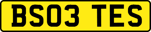 BS03TES