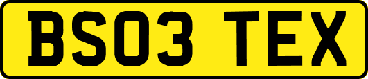 BS03TEX