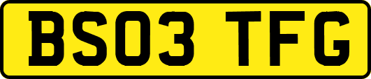 BS03TFG