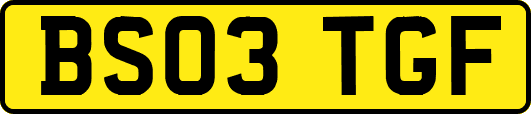 BS03TGF