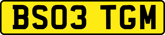 BS03TGM
