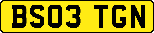 BS03TGN