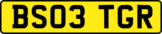 BS03TGR