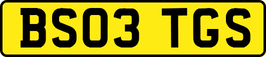 BS03TGS