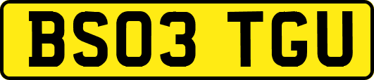 BS03TGU
