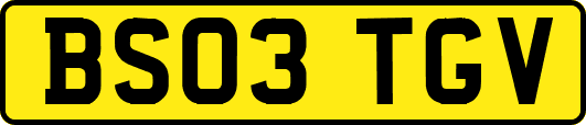BS03TGV