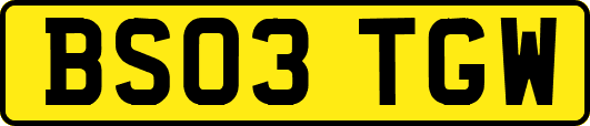 BS03TGW