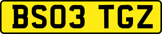 BS03TGZ