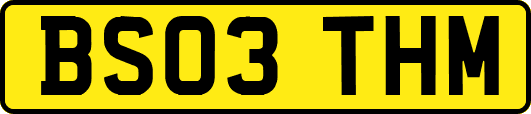 BS03THM