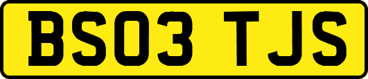 BS03TJS
