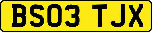BS03TJX