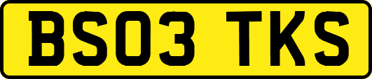 BS03TKS
