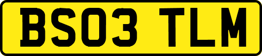 BS03TLM