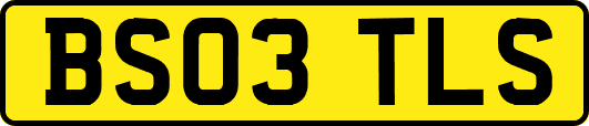 BS03TLS