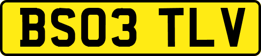 BS03TLV