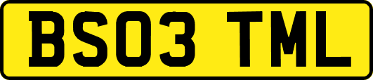 BS03TML