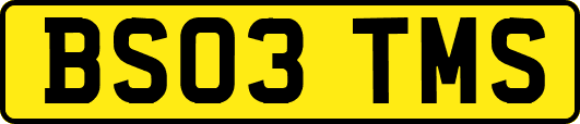 BS03TMS