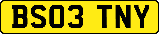 BS03TNY