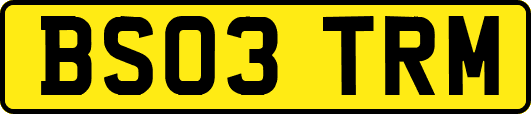 BS03TRM