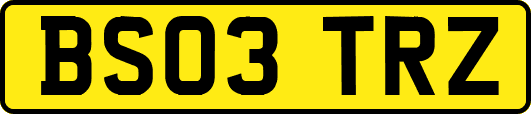 BS03TRZ