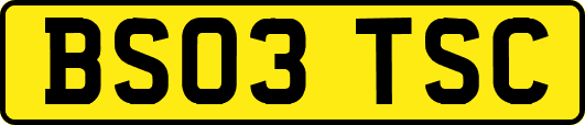 BS03TSC