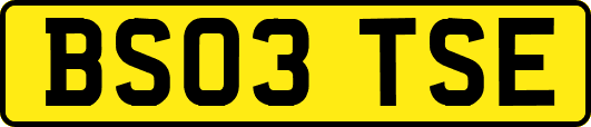 BS03TSE