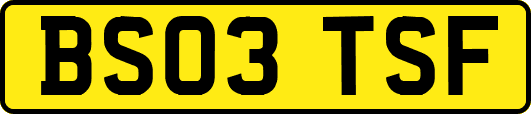 BS03TSF