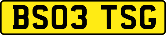BS03TSG