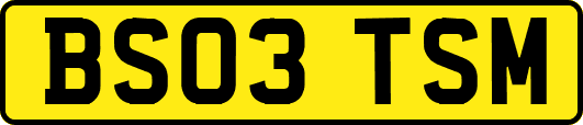 BS03TSM