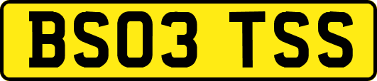 BS03TSS