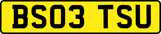 BS03TSU