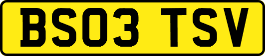 BS03TSV