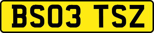 BS03TSZ