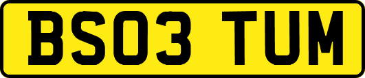 BS03TUM