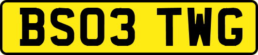 BS03TWG