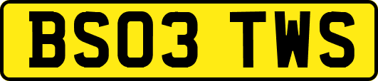BS03TWS