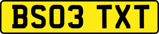 BS03TXT
