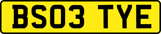 BS03TYE