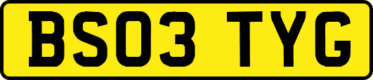 BS03TYG