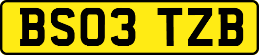 BS03TZB