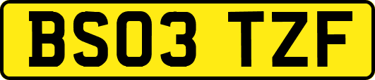 BS03TZF