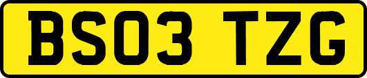 BS03TZG